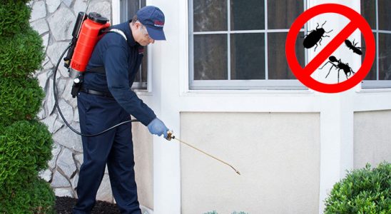 Dulkadiroğlu Karınca İlaçlama böcek ilaçlama ve haşere kontrolü — ilaclama-tr.com
